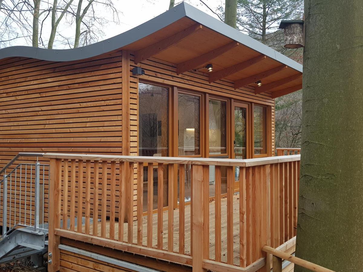 Sonnenresort Ettershaus Bad Harzburg Εξωτερικό φωτογραφία